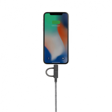 Câble avec Connecteur USB vers Lightning (2m) - BELT - Zébré