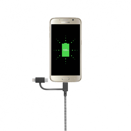 Câble avec Connecteur USB vers Lightning (2m) - BELT - Zébré