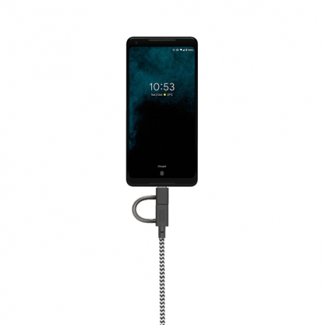 Câble avec Connecteur USB vers Lightning (2m) - BELT - Zébré